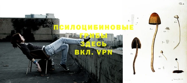 2c-b Алзамай